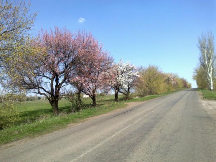 Суха Балка з panoramio.com - Суха Балка
