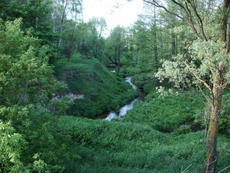 Фасівочка з panoramio.com - Фасовочка