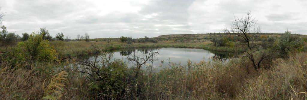 Старозаводське з panoramio.com - Старозаводське