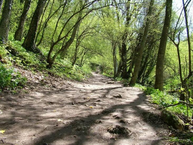 Нікішине з panoramio.com - Никишино