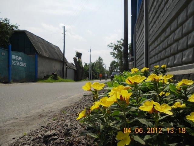 Пухівка з panoramio.com - Пухівка