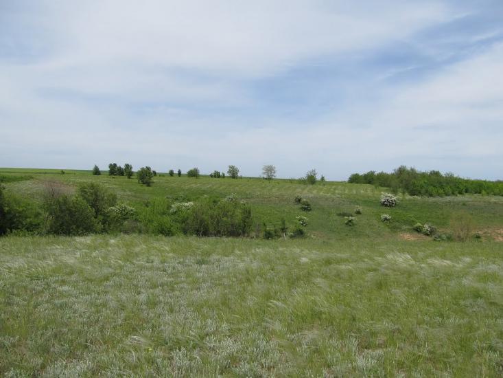 Макорти з panoramio.com - Макорты