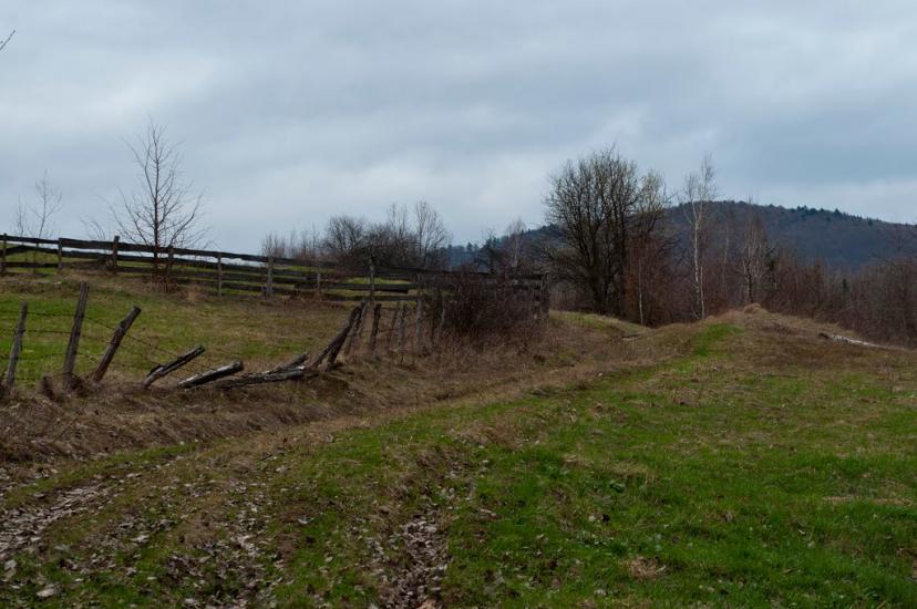 Княгиня з panoramio.com - Княгиня