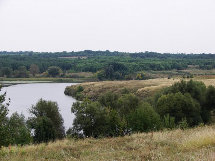 Комишеве з panoramio.com - Комишеве