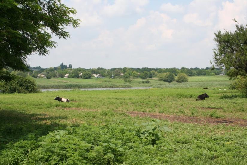 Плетений Ташлик з panoramio.com - Плетений Ташлик