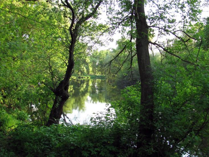 Бабаї з panoramio.com - Бабаи