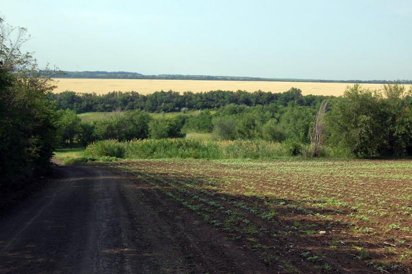 Булгаківка з panoramio.com - Булгаковка