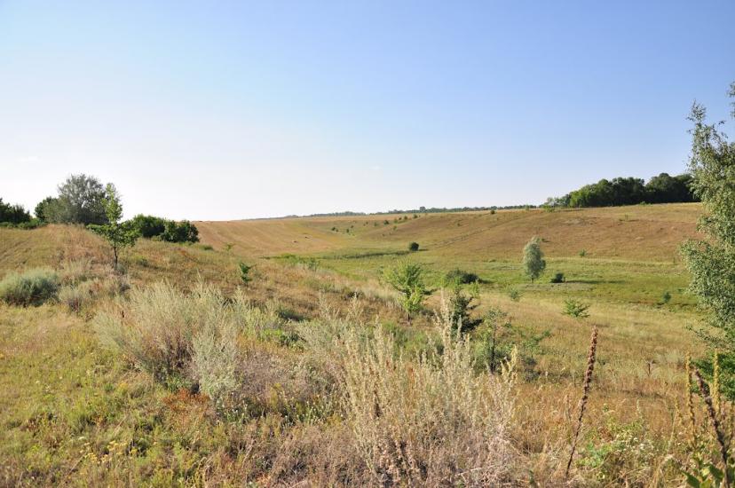 Красноліси з panoramio.com - Красноліси