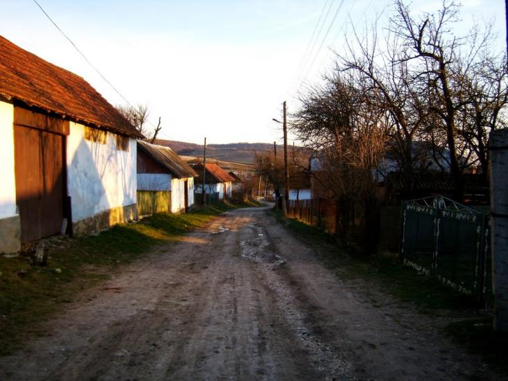 Добринів з panoramio.com - Dobryniv