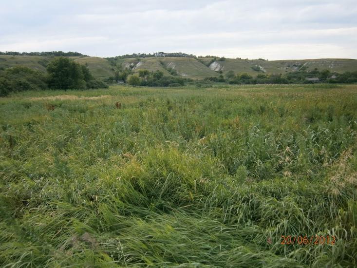 Колядівка з panoramio.com - Kolyadivka