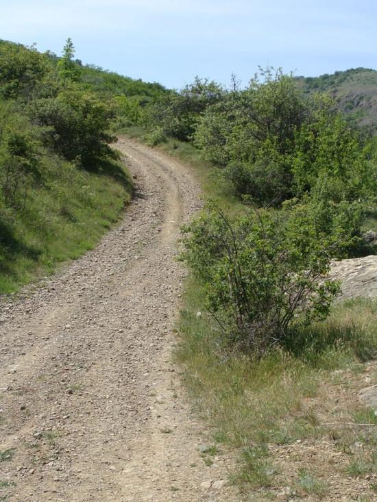 Громівка з panoramio.com - Громівка