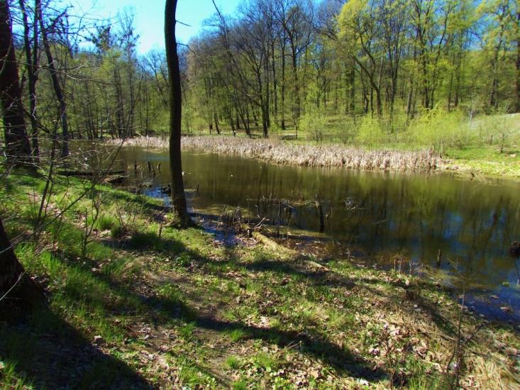 Бабаї з panoramio.com - Бабаи
