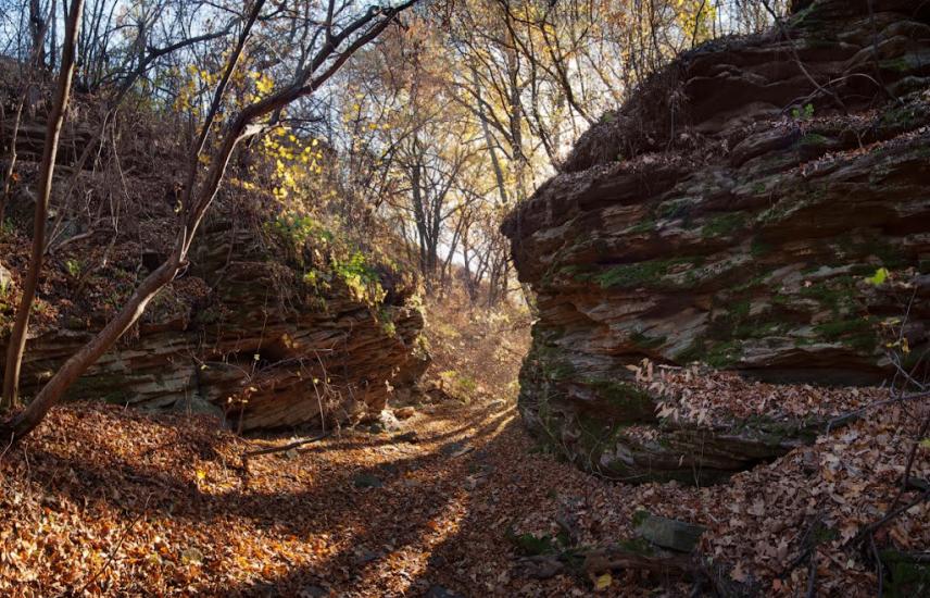 Ольховатка з panoramio.com - Ольховатка