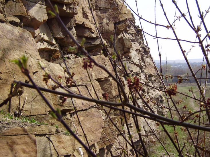 Успенка з panoramio.com - Успенка