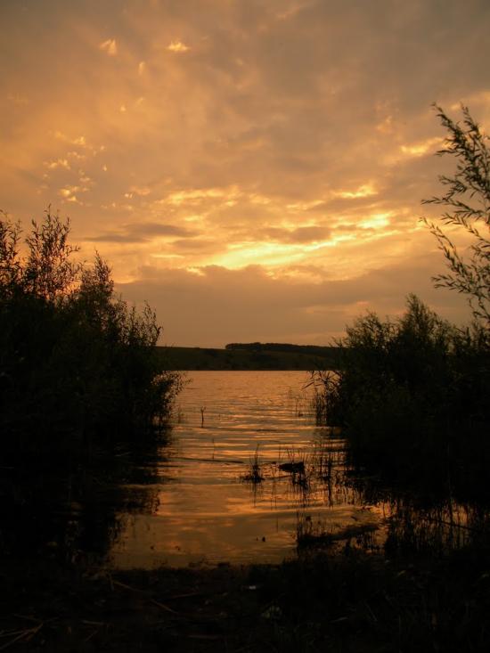 Липці з panoramio.com - Липцы