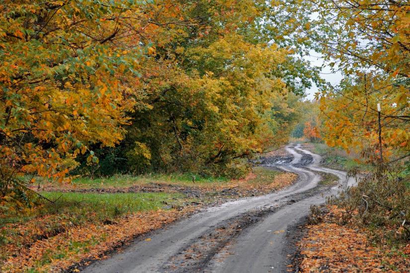 Грабовське з panoramio.com - Грабовское