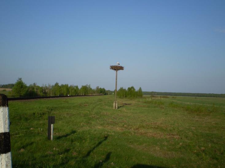 Лемешівка з panoramio.com - Лемешовка