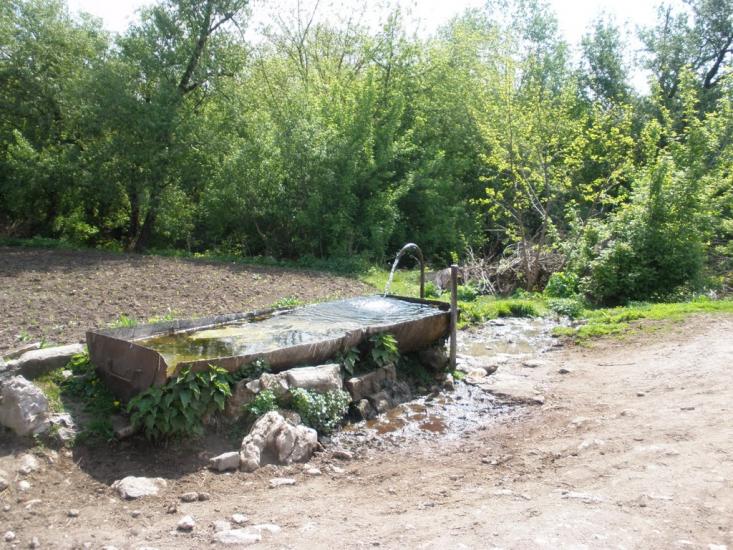 Володіївці з panoramio.com - Володиевцы