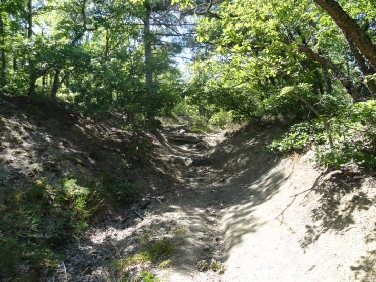 Виноградний з panoramio.com - Виноградний