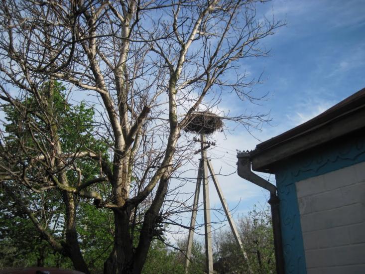 Плетений Ташлик з panoramio.com - Плетений Ташлик