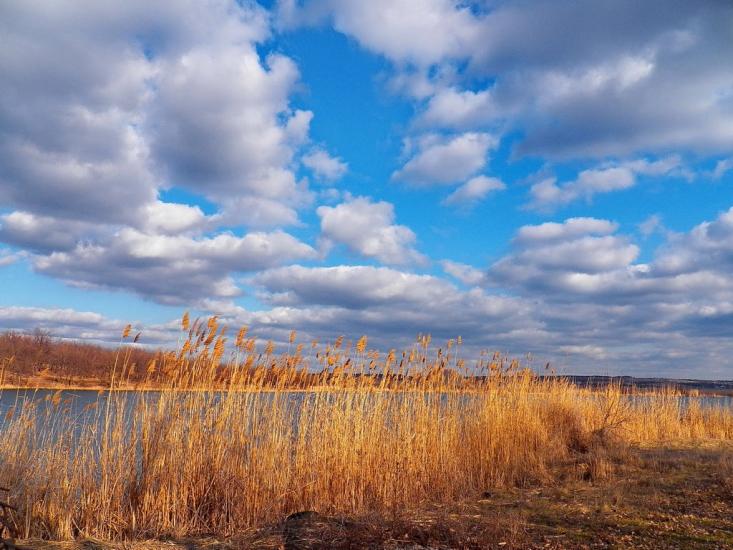 Ольховатка з panoramio.com - Olkhovatka