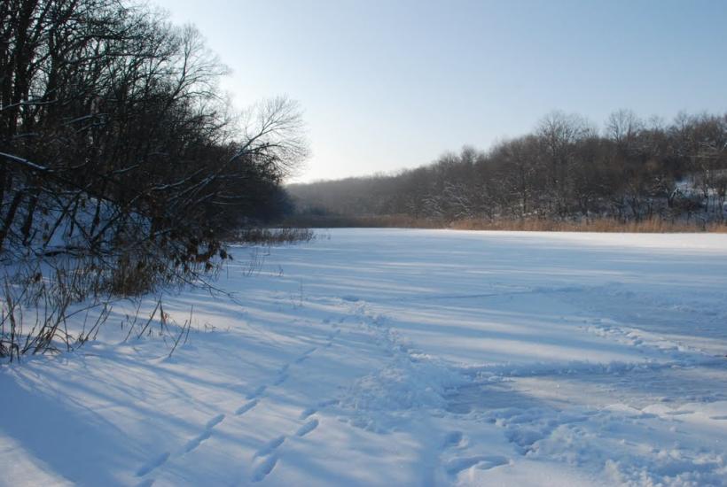 Синельникове з panoramio.com - Синельникове