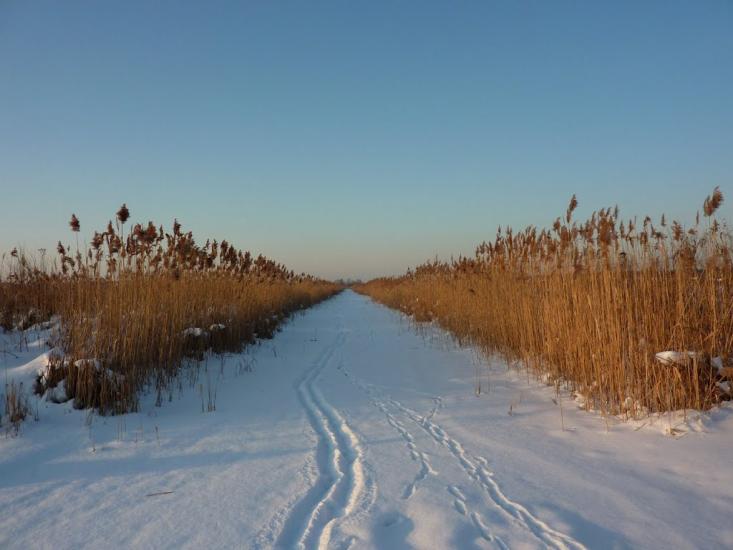 Романків з panoramio.com - Romankiv