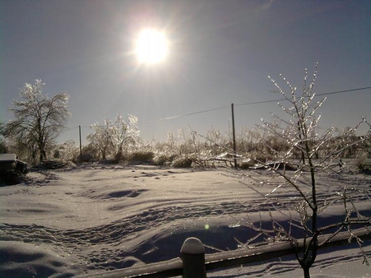 Волиця з panoramio.com - Волиця