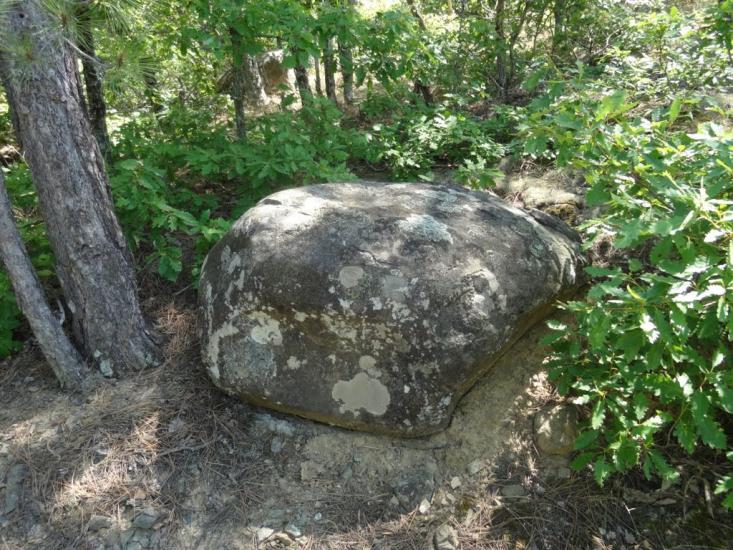 Виноградний з panoramio.com - Vynogradnyy