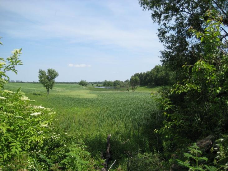 Сподахи з panoramio.com - Сподахи