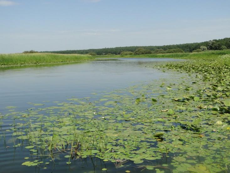 Новгород-Сіверський з panoramio.com - Новгород-Сіверський