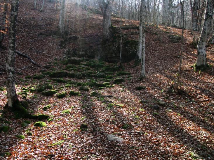 Многоріччя з panoramio.com - Многоріччя