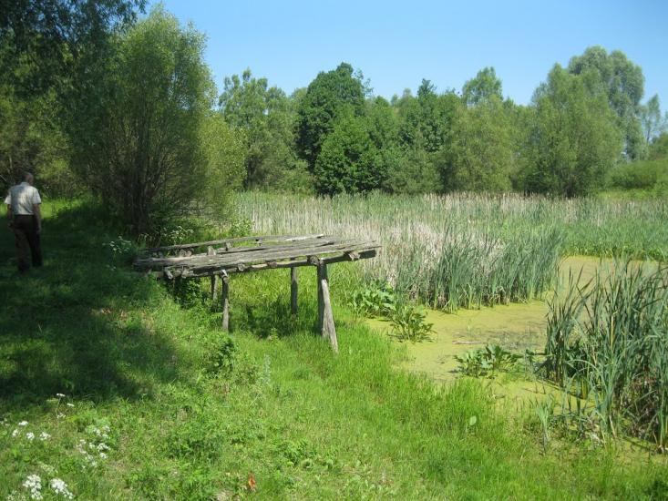 Дем'янівка з panoramio.com - Дем'янівка