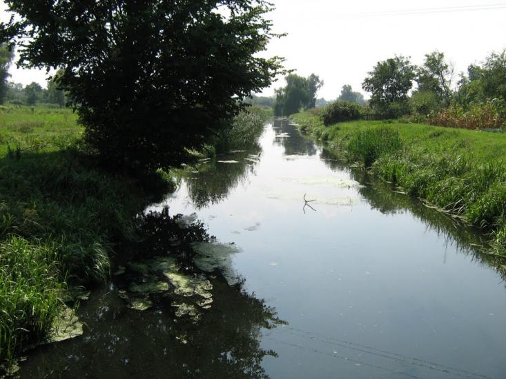 Чапаєвка з panoramio.com - Чапаевка