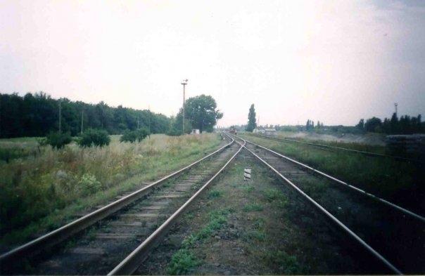 Родинське з panoramio.com - Родинське