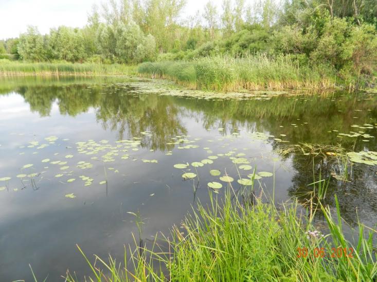 Лівенське з panoramio.com - Лівенське