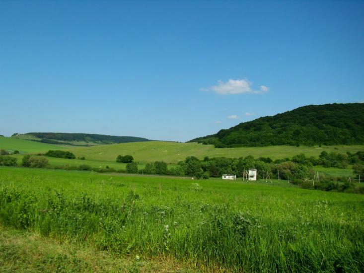 Добринів з panoramio.com - Добринев