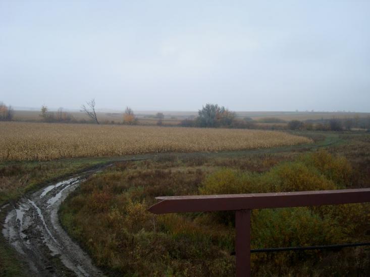 Вільхівці з panoramio.com - Ольховцы