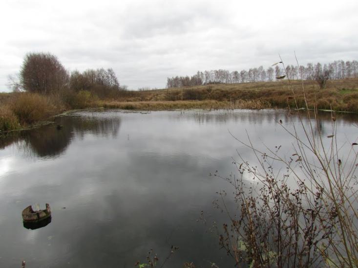 Сиваківці з panoramio.com - Сиваківці