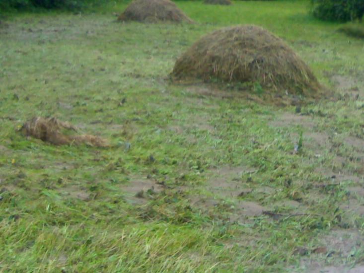 Верхній Майдан з panoramio.com - Verkhniy Maydan