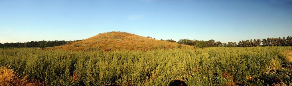 Дубовий Гай з panoramio.com - Дубовий Гай