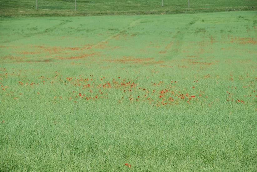 Стінка з panoramio.com - Стінка