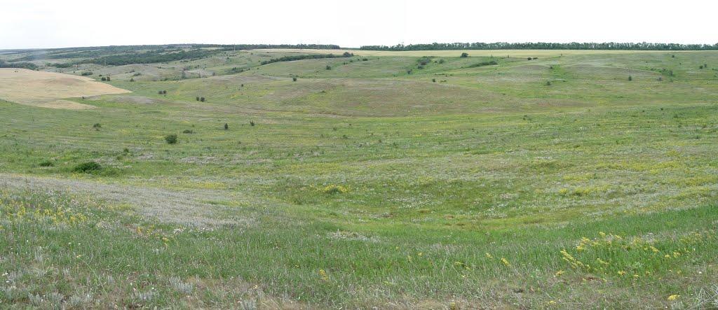 Новозванівка з panoramio.com - Новозвановка