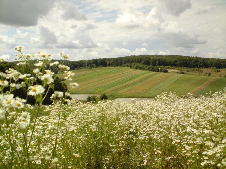 Гуманець з panoramio.com - Гуманець