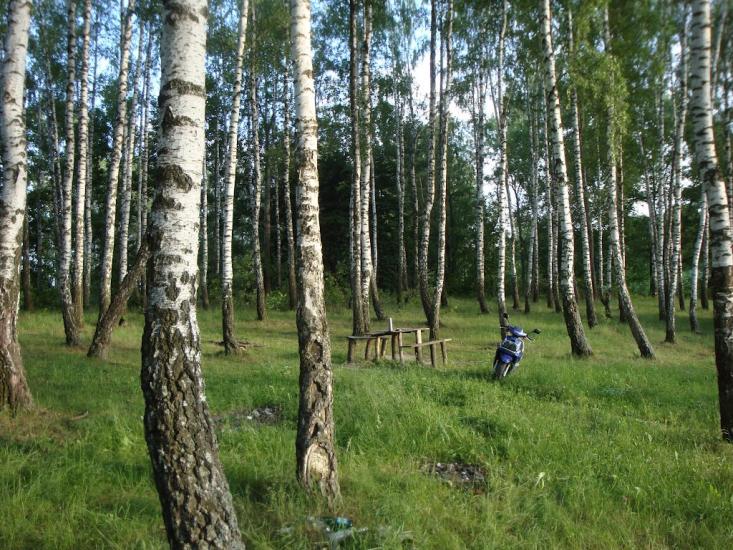 Бейзимівка з panoramio.com - Бейзимівка