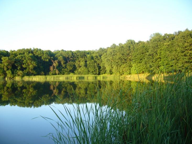 Єрчики з panoramio.com - Єрчики