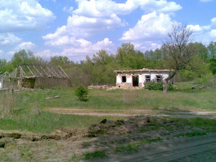 Бірки з panoramio.com - Бирки