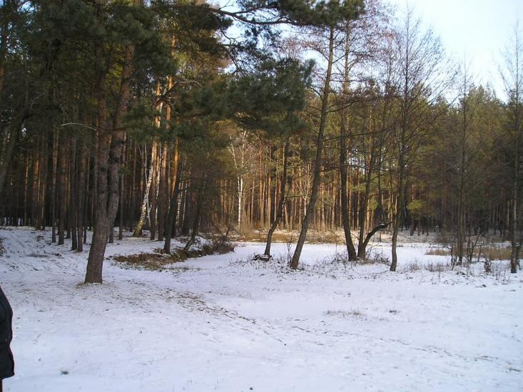 Першотравенськ з panoramio.com - Першотравенськ