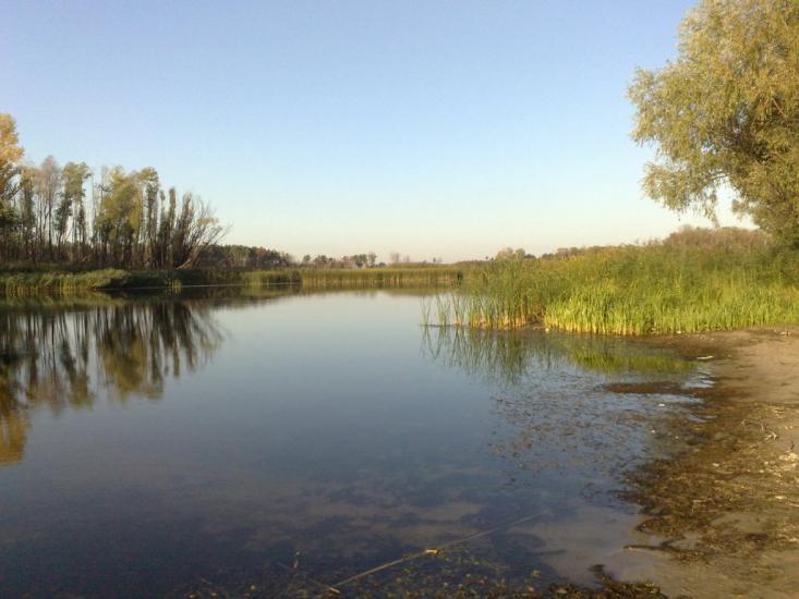 Чапаєвка з panoramio.com - Чапаевка