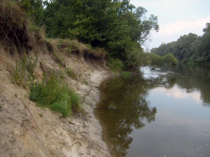 Кошари з panoramio.com - Кошари